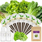Salad Greens Seed Pod Kit for AeroGarden, iDoo, Ahopegarden, MUFGA with Red/Green Romain/American Fast/Buttercrunch/Parris Island Lettuce, Spinach - Compatible with All Garden(8-Pod) - color: salad greens, size: 7-pods
