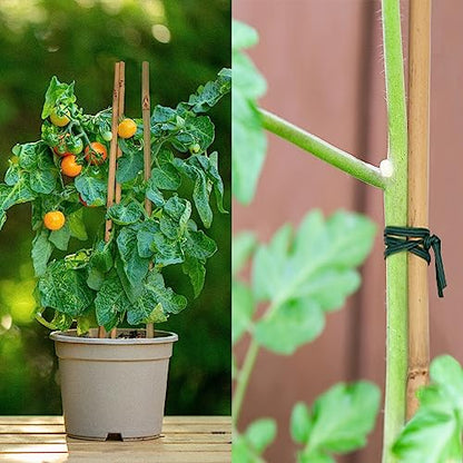 Plant Stakes 50Pcs 16IN,POLIUMB Premium Natural Bamboo Stakes Garden Stakes - size: 16Inches