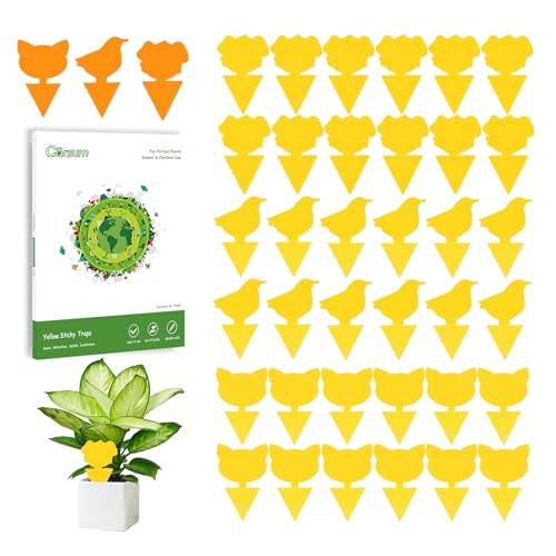 Garsum Gnat Killer Indoor Fruit Fly Traps Yellow Sticky Plants Bug Fungus Fly Catcher Outdoor,36 Pack - color: 36 Pack