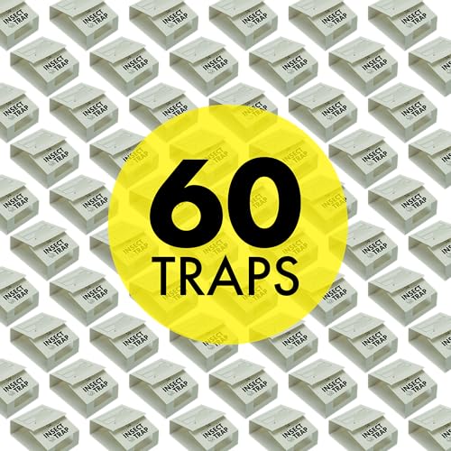 S&T INC. Insect Traps for Pest Control, 60 Pack - size: 60 Pack