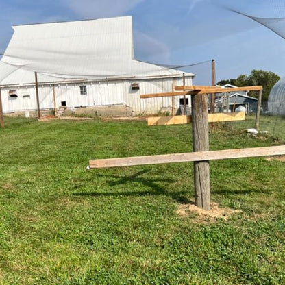 Junflying 25x50 FT Chicken Netting for Hawks & Predator Protection - size: 25x50 FT