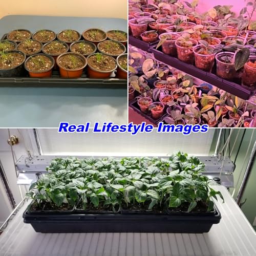 10-Pack Heavy-Duty 1020 Seed Trays No Holes, Thick Plastic Plant Flats - color: Black, size: 10-Pack No-Hole 1020 Trays