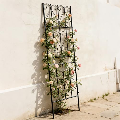 Thealyn 2 Pack Metal Garden Trellis for Climbing Plants Outdoor