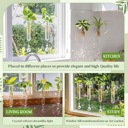 Zhehao 4 Set Window Propagation Vases with Suction Cups, 5.9'' Glass Tubes