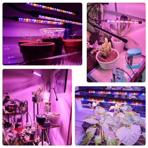 Wolezek Clip on Grow Lights for Indoor Plants, Red Blue Full Spectrum - color: Red/Blue-2-Head