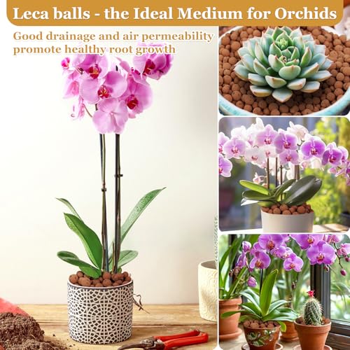 16LB Organic Leca Clay Pebbles for Plants, 4-16mm Natural Leca Ball - size: 16LB