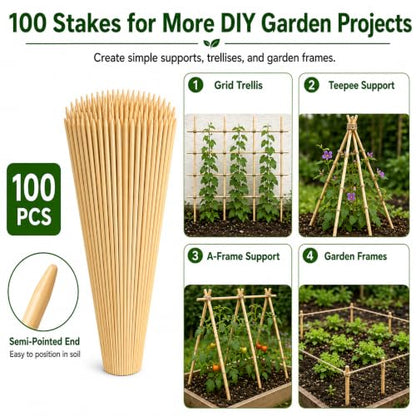 100 PCS 2FT Bamboo Plant Stakes, 6.3mm Thick Bamboo Stakes - size: 24 inch 6.3mm
