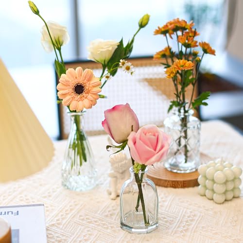 Arme Glass Bud vases in Bulk，Small Glass Flower Vase for Centerpieces 16Pcs - color: Clear-16pcs, size: 16 Pcs