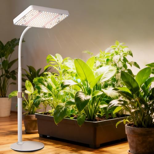 Tabletop Grow Light Desk Grow Lights for Seed Starting with Timer - size: 1Head-Timer