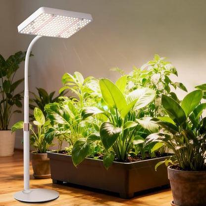 Tabletop Grow Light Desk Grow Lights for Seed Starting with Timer - size: 1Head-Timer