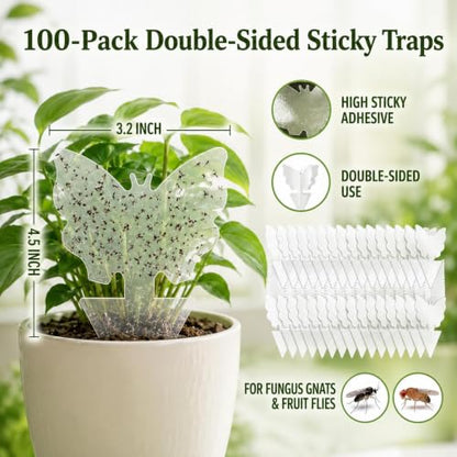 100 Pack Gnat Traps, Double Sided Plant Sticky Traps for Indoor Bug, Clear - color: Clear