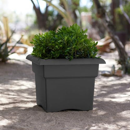 Bloem Veranda 14" Plastic Square Planter Box, Charcoal, 2-Pack - color: Charcoal, size: 14" (Pack of 2)