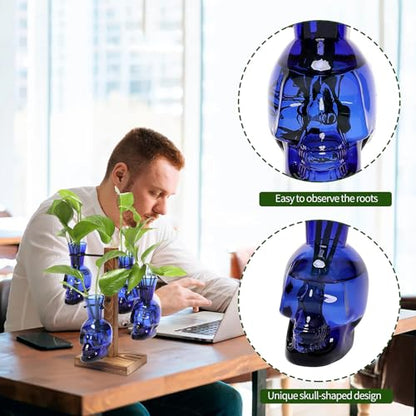 Plants Propagation Stations Skull Glass Propagation Birthday Gift for Women - color: Blue