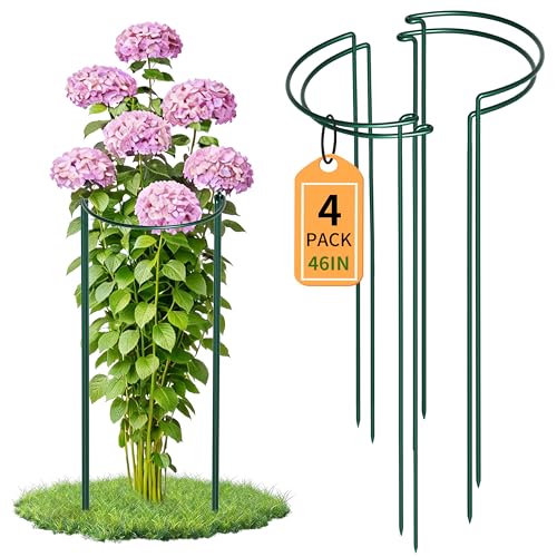 TCBWFY 4 PCS Plant Supports 16" Dx46 H Peony Cages and Supports,6mm Thick Metal Wire Heavy-Duty Garden Stakes for Indoor & Outdoor Plants,Ideal for Peony,Tomato,Hydrangea,Rose - size: 16"Dx46"H-4pcs