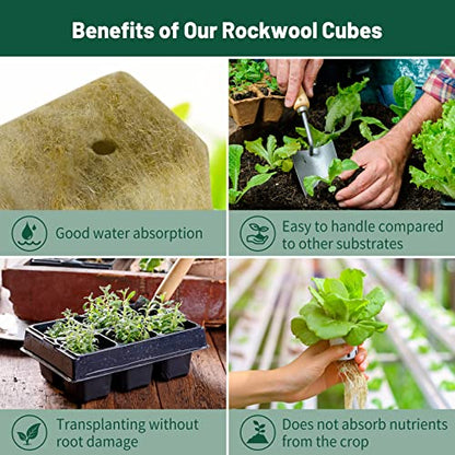 1" Rockwool Cubes for Hydroponics - (200 Plugs in Total) 4 Sheets Rockwool Grow Cubes for Rooting, Cuttings, Clone Plants, Starting Seeds, Ideal Rockwool for Hydroponic Growing - size: 200 Plugs