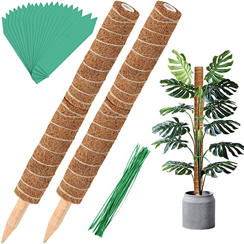 Moss Pole, Augshy 48 Inch Moss Poles - 4Pcs 12 Inch Coir Totem Poles Moss Climbing Sticks for Indoor Creepers Plant Support Extension - size: 48 inches