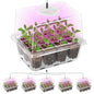 Bonviee Seed Starter Trays with 12-LED Grow Lights, Clear, 5 Pack - color: Clear, size: 5 Packs