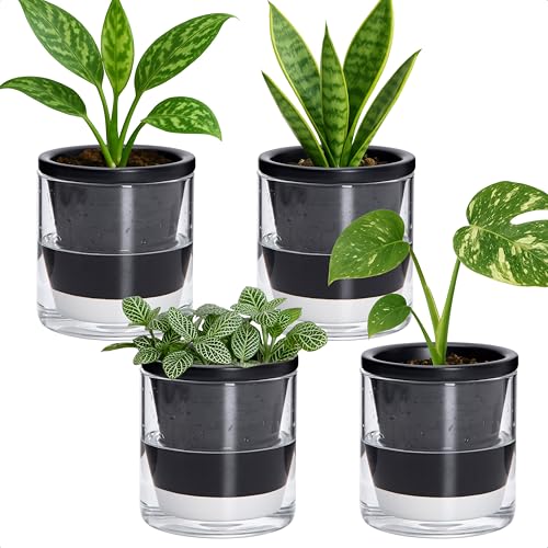 D'vine Dev Self-Watering Black Terracotta Planter, 4 in, 4-Pack, 37-Z-A-3-F - color: Black