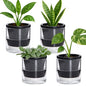 D'vine Dev Self-Watering Black Terracotta Planter, 4 in, 4-Pack, 37-Z-A-3-F - color: Black