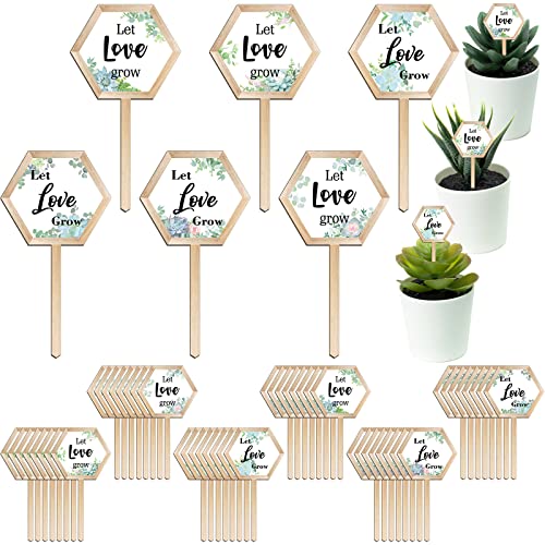 Amyhill 48 Pcs Let Love Grow Succulent Tags for Wedding Favors Wooden Stake - style: Love Style
