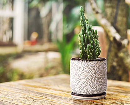 D'vine Dev Embossed Leaves Ceramic Planter, 4 in, Smoked White, 27-A-Z-1 - color: Smoked White, size: 4 Inch