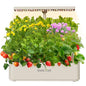 SUNCOZE Hydroponics Growing System, Compact 12 Pods Indoor Garden, Beige - color: Beige