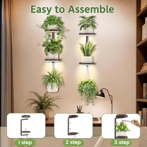 LASZOLA Plant Hanger Holder Shelf Wall Indoor with Lights, 2 Pcs Bronze - color: Classic Brown, size: 2