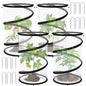 Erinaik 4 Pack Pop up Plant Guard Covers Tent from Animals White, 19.6" x 11.8" Foldable Plant Protectors Mesh Net, Garden Plant Enclosure Protection Cage with Stakes & Carry Bag for Outdoor Plants