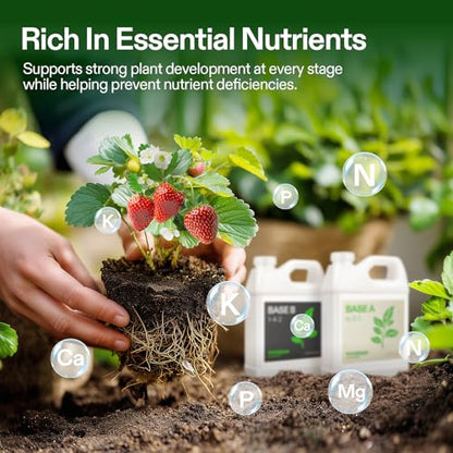 VIVOSUN Liquid Nutrients Base A & B Bundle, Set of 32oz - size: 32 Ounce