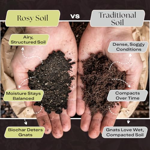 Rosy Soil Aroid Soil Mix, Chunky Biochar Potting Mix, 4 Quarts - color: Aroid, size: 4 Quarts
