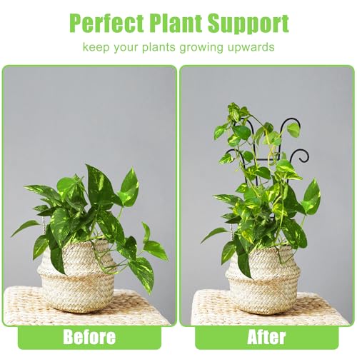 Coomin 14.5in Small Plant Trellis for Climbing Plants Indoor, 2P - size: 14.5in/4P