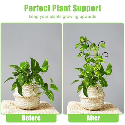 Coomin 14.5in Small Plant Trellis for Climbing Plants Indoor, 2P - size: 14.5in/4P