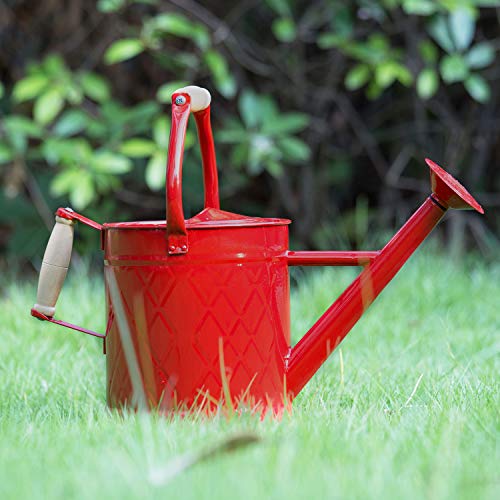 1 Gallon Red Metal Watering Can, Removable Spout - color: Red, size: 1 Gallon