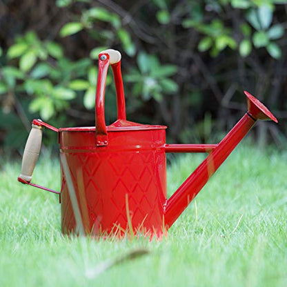 1 Gallon Red Metal Watering Can, Removable Spout - color: Red, size: 1 Gallon