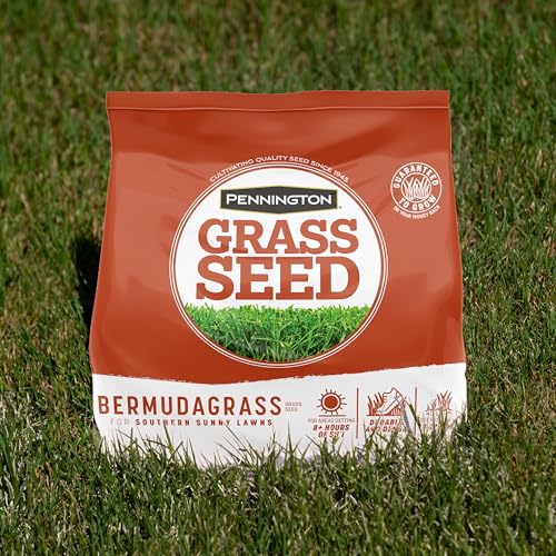 Pennington Bermudagrass Southern Grass Seeds for Lawn, 5 lb - size: 5 LB