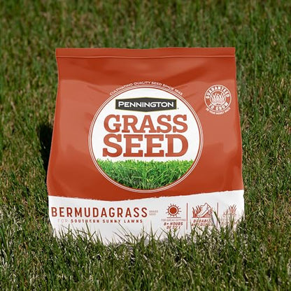 Pennington Bermudagrass Southern Grass Seeds for Lawn, 5 lb - size: 5 LB