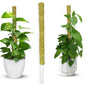 DUSPRO 1 Pack 22" Pre-Made Natural Stackable Moss Pole for Plants Monstera - color: Natural 1pc