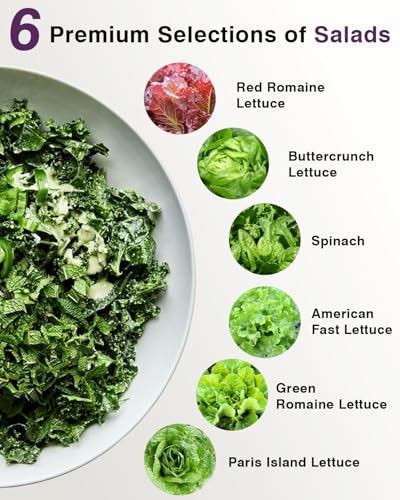 Salad Greens Seed Pod Kit for AeroGarden, iDoo, Ahopegarden, MUFGA with Red/Green Romain/American Fast/Buttercrunch/Parris Island Lettuce, Spinach - Compatible with All Garden (12-Pod) - color: salad greens, size: 12-pod