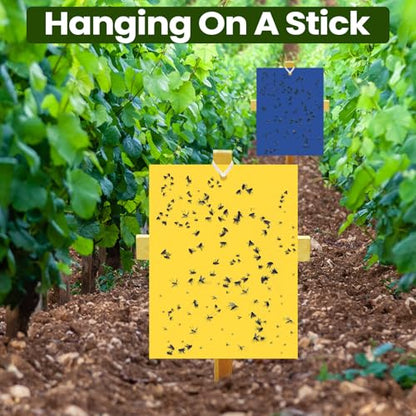Qualirey 100 Pcs 6x8 Inch Yellow Blue Sticky Traps for Gnats - color: Yellow,Blue
