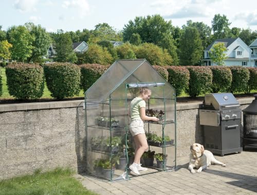 Miracle-Gro Walk-in Greenhouse, Removable Shelves, Transparent, 4'8"x29" - size: 4'8" x 29" x 6'5" - Translucent