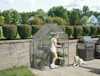 Miracle-Gro Walk-in Greenhouse, Removable Shelves, Transparent, 4'8"x29" - size: 4'8" x 29" x 6'5" - Translucent