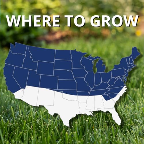 Jonathan Green Black Beauty Ultra Grass Seed - 7 lb - size: 7 lb