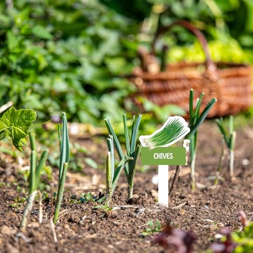 60pcs Vegetable Plant Label Signs Waterproof Fruit Plant Tag