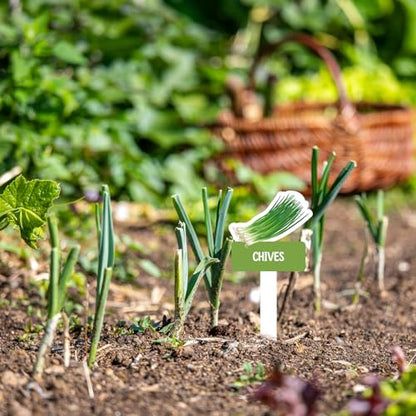 60pcs Vegetable Plant Label Signs Waterproof Fruit Plant Tag