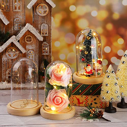 Remerry 6 Pcs Plastic Cloche Dome Display with Base and LED Light