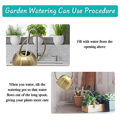 Hamiledyi 50 oz/1500 ml Stainless Steel Watering Can with Long Spout - color: Golden