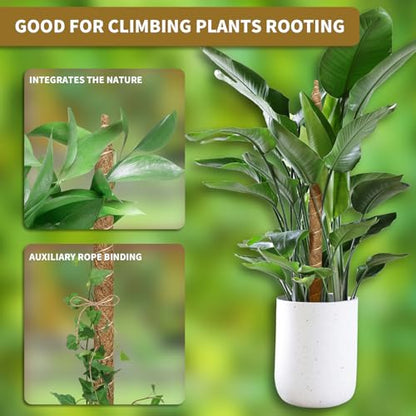 28" Bendable Plant Support Moss Pole 3 Pack for Climbing
