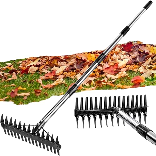 Thatch Rake for Lawns 36-63" Stainless Steel Adjustable Handle