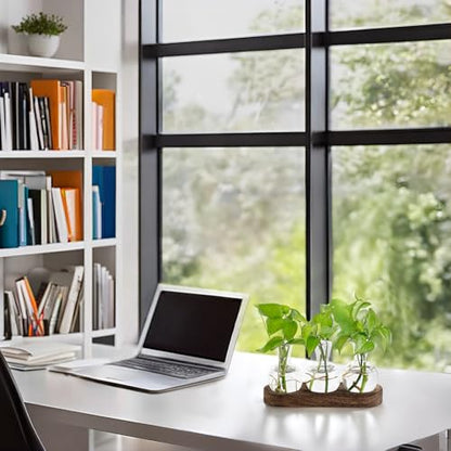 Mkono Plant Propagation Station, Desktop Glass 3 Bulb Vase Brown Wood Tray - color: Brown, size: Medium