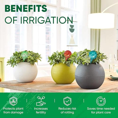 Plant Watering Globes Set of 6, Small - Glass Self Watering Globes - style: Set of 6 Small